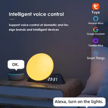 CORUI Tuya Smart WIFI Wake Up Light С будильником RGBW светодиодный ночник с белым шумом, поддержка Alexa Google Home Alice