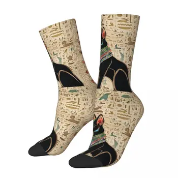 Носки в стиле каваи с египетскими кошками, походные носки с мультяшным рисунком